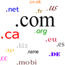 common domain registration pakistan